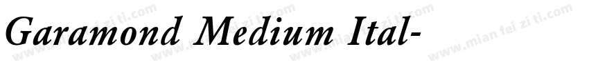 Garamond Medium Ital字体转换